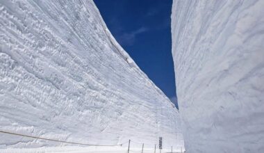 Japanese Ski Resort Reports 282" Base